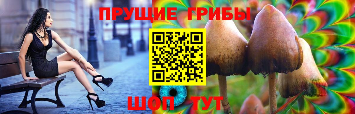 Псилоцибиновые грибы ЛСД Барнаул